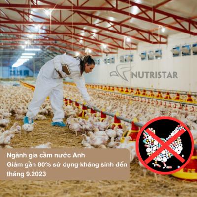 Giảm sử dụng kháng sinh